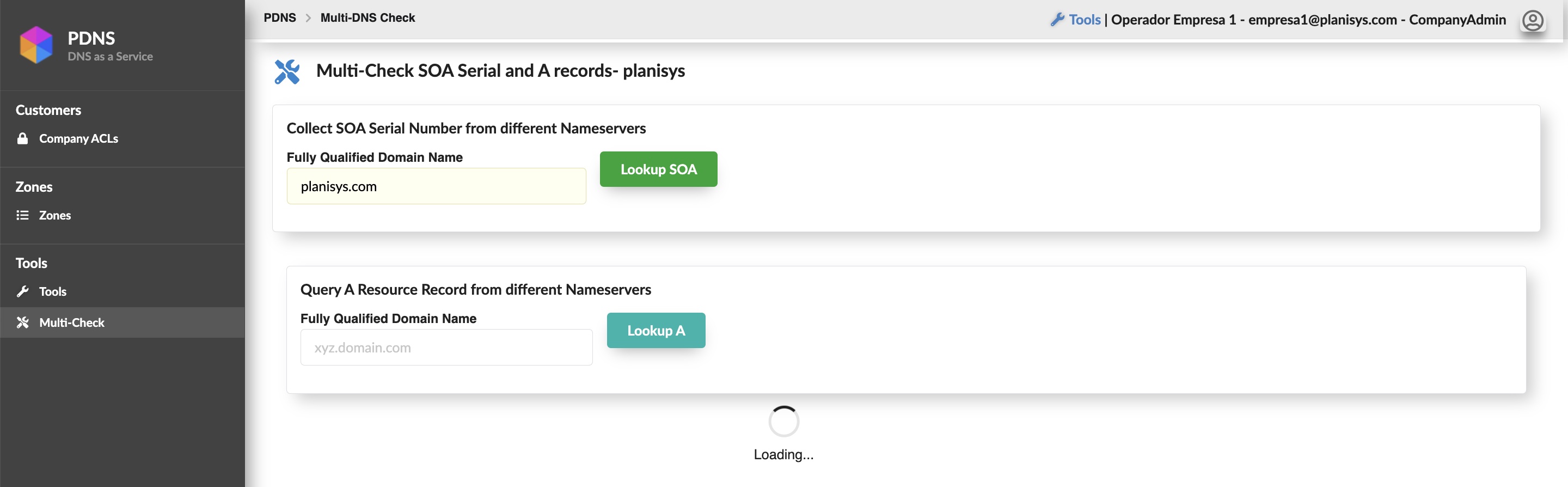 Multi-Check DNS Lookup Tool